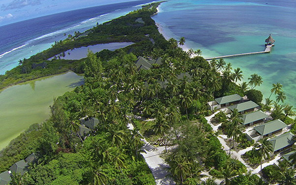 Canareef Resort