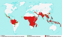 Malediven sind frei von Malaria